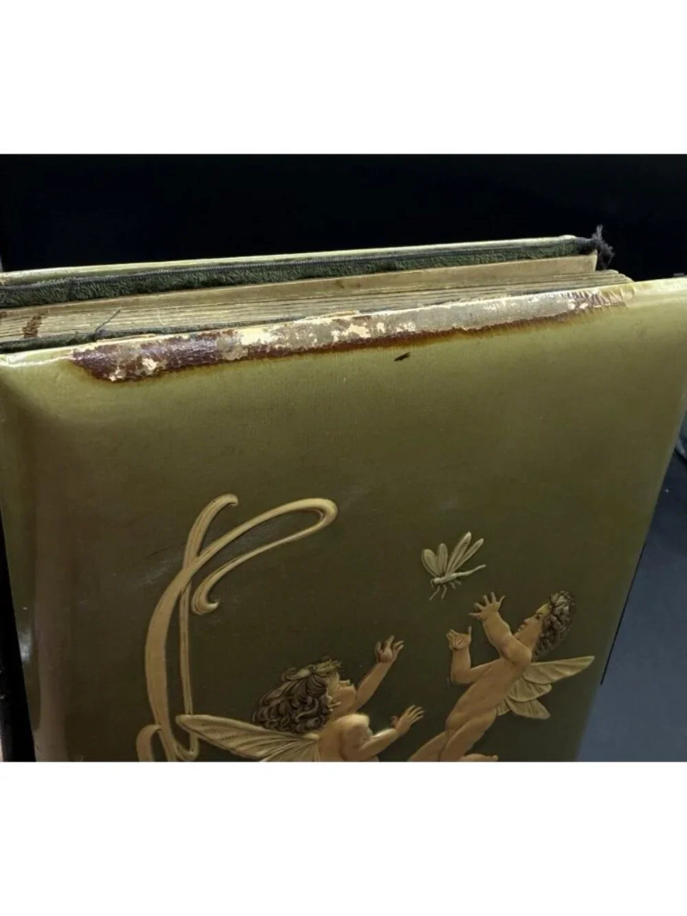 Victorian Green Celluloid Cherubs Dragonfly Photo Album Antique No Latch READ